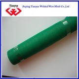 Green Color Window Screen (TYB-0068)