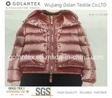 Nylon Taffeta Downproof Fabric for Down Jacket/Coat/Parka/Vests