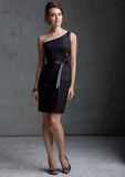 Back Short Sheath Column Bridesmaid Fashion Gowns (FD3008)