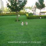 No Mowing Evergreen Grass Synthetic Lawn Carpet