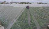 Anti Insect Net Mosquito Netting HDPE UV