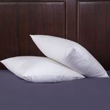 Cheap White Duck Down Cushion Insert