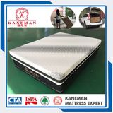 Best Care Healthy Latex Foam Mattress Gel Memory Foam Mattress
