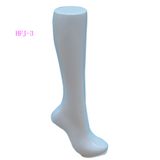 Female Foot Mannequin Shoe Mannequin for Women