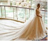 2017 Crystal Beaded Embroidered Lace Bridal Wedding Dresses PLD3201