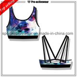 Free Sample OEM Survice Ladies High Quality Wholesale Sexy Sport Bra