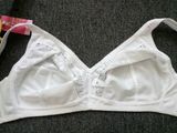 Factory Price Ladies Brassiere Big Size Bra (CS914)