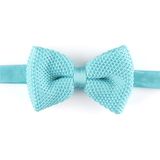 Solid Light Blue Men's Fashionable Plain Knitted Bow Tie (YWZJ 12)