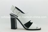 Hot Sale Sexy Square Heel Lady Fashion Sandal