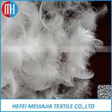 Washed White Duck Feather for Home Textile