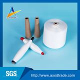 40s/2 100% Yizheng Polyester Sewing Thread Manufacture