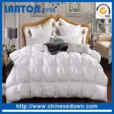 Wholesale Microfiber Filling New Pattern Quilt/Duvet/Comforter
