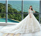 Sheer Lace Top Bridal Ball Gowns Feather Lace Sleeveless Wedding Dress S17314