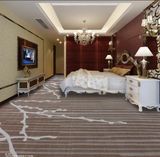Customized-M04 Rolled 1/8 Cut &. Loop Pile Full Width Repeat Nylon PA6 Carpet