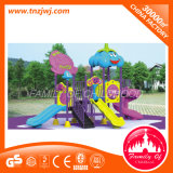 Outdoor Playground Type and Plastic Playground Material Playground Equipment