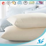 Feather/ Down Square Feather Cushion Insert Pillow