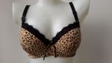 Big Size Animal Print Bra Ladies Underwear (CS18350)