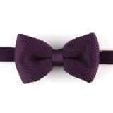 Romantic Solid Purple Fashionable Silk or Polyester Knitted Bow Tie (YWZJ 18)