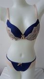 Sexy Push up Deep V T-Shirt Bra and Panty Set for Ladies (CS12157)