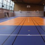 Synthetic PVC Vinyl Sport Flooring Factory Supply