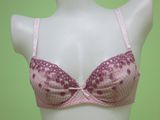 2015 Hot Sexy Padded Fashion Brassiere for Sexy Ladies (M238030-BB)