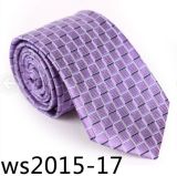 New Design Fashionable Tie (Ws2015-17)