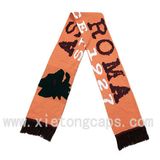 Fashion Scarf, Winter Scarf, Jacquard Football Scarf (JRI037)