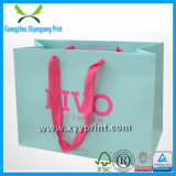 Custom Colorful Shopping Paper Bag for Garment