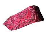 Paisley Ties