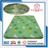 Wholesaler Price School and Quality High Density Compressed Foam Mattress