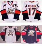 Ahl Grand Rapids Griffins Ville Leino Mark Cullen Hockey Jerseys