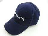 100% Cotton New Design Embroidered Sports Cap