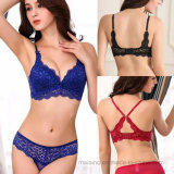 New Style Ladies Lace Brief and Bra