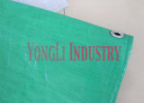 Cheapest 90GSM PP Tarpaulin Sheet with Green Silver Color