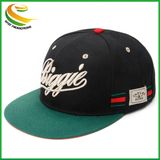 Custom 3D Embroidery Cotton Hip Hop Hat Sports Snapback Cap