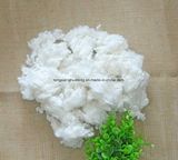 Pillow and Toy 7D*51mm Hcs/Hc Polyester Staple Fiber Grade a