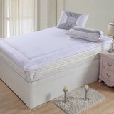 Washable and High Quality Adult Bed Mattress Pad for Hotel (DPF10151)