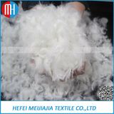 White or Grey Duck Feather Sale for Filling