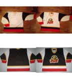 Echl PEE Dee Pride Embroidered Goalit Cut Hockey Jerseys
