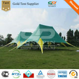 Printed Double Star Tent 16X21m Used for Outdoor Promotion (FX-1621)