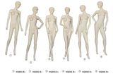 Hot Sexy Female Mannequin Girls Mannequin FRP Mannequins.
