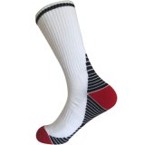 Half Cushion Poly Fashion Stripes Outdoor Sport Socks (JMPOD01)