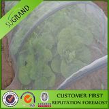 China Factory Supply HDPE Greenhouse Insect Net Hanging Mosquito Mesh Screen