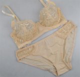 Sexy Transparent Lingerie Bra Set with Beautiful Embroidery (EPB295)
