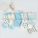 Fashion babies Colored Patterned Vivid Jacquardsocks