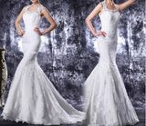 Elegant Lace Mermaid Bridal Wedding Dresses (NWD1010)