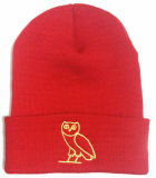 Beautiful Embroidered Knitting Sport Cap (S-1079)