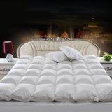 USA Standard Goose Down Winter Duvet with Comforter