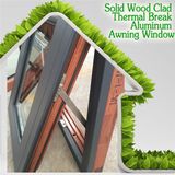 Stainless Steel Security Mesh Top Hung Aluminum Window, High Quality America Style Aluminum Awning Window for Villa