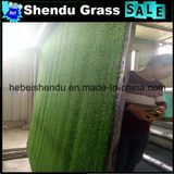 Indoor Artificial Grass Carpet for Decoration 8mm Height